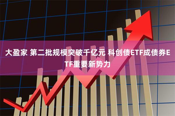 大盈家 第二批规模突破千亿元 科创债ETF成债券ETF重要新势力